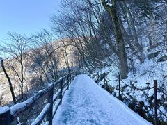 -少华山国家森林公园