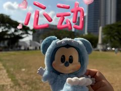 -新加坡佛牙寺龙华院