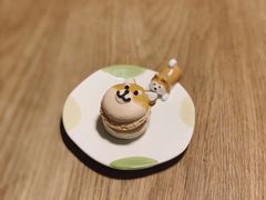 -柴务处·柴犬主题狗咖