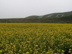 -扁都口生态休闲旅游区