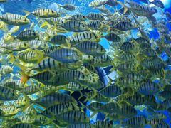 -太平洋海底世界