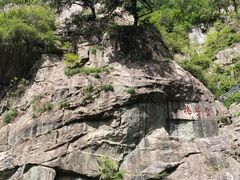 -泰山风景名胜区