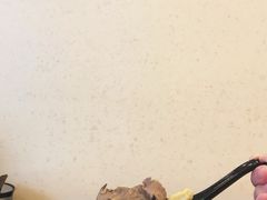 -小杨生煎(周浦万达店)