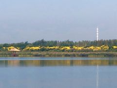 -西青郊野公园