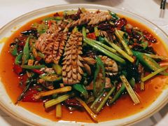 -付掌柜在成都·热炒砂锅集(金禾店)