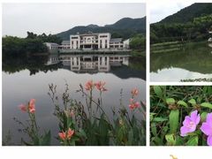 -大屏嶂森林公园