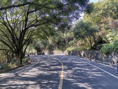 -大雁山风景区