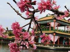 -宝墨园景区
