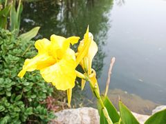 -洋湖国家湿地公园