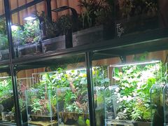 -扶摇湘宴·烤鸭·湘粤宴(中关村·北大店)