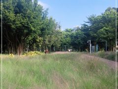 -顺峰山公园