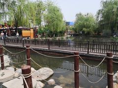 -茯茶镇