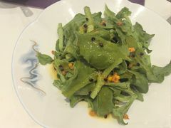 -凯鸽酒楼(操场城店)