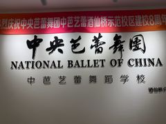 -中央芭蕾舞团·中芭艺蕾(酒仙桥明星校区)