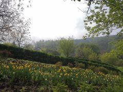 -盛世牡丹苑生态文化旅游区
