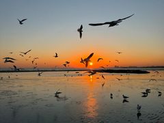 -老虎石海上公园