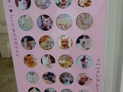-喵匠猫主题咖啡(凯德和平广场店)