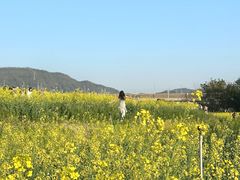 -光明小镇欢乐田园