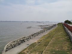 -海鸥岛