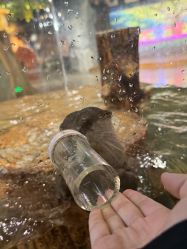 -Zoolung Zoolung动物主题公园(海信广场店)