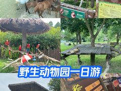 -上海野生动物园