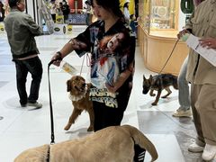 -帕帕拉兹宠物(亚洲旗舰店)