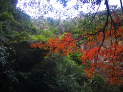 -永泰中国云顶