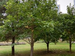 -方恒购物中心(望京小街店)