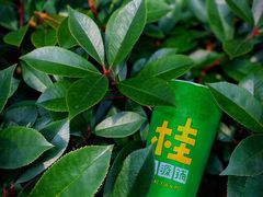 -桂桂茶(赤峰站店)