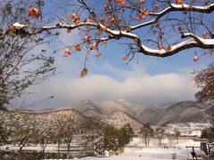 -静之湖湖畔餐厅