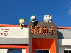 -向外鱼乐·土菜·虹鳟鱼