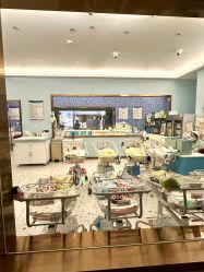 -安雅国际月子会所(拱北森宇富通店)