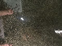 -厦门日月谷温泉渡假村