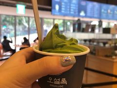 -雪绿茶博物馆
