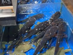 -炊江南·上海菜(国展华漕店)