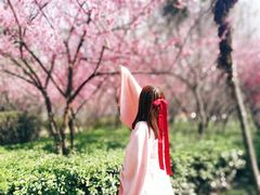 -木塔寺遗址生态公园