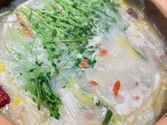 -青花椒花椒鱼(合生汇店)