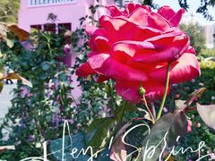 -人民公园(罗湖区)