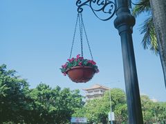 -花都广场