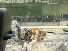 -上海野生动物园