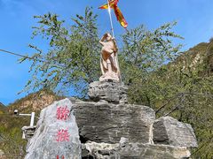 -大岭沟猕猴桃谷风景区
