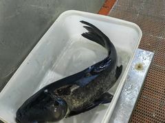 -宝荣鱼馆·临湖之宴(千岛湖店)