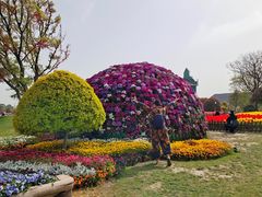 -荷兰花海