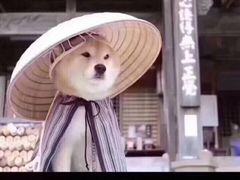 -GUCCI(南京德基店)