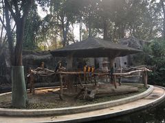 -清迈夜间动物园