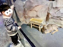 -酷嗒动物文化乐园(cutezoo西溪乐天城店)