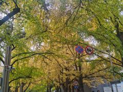 -四川大学(华西校区)