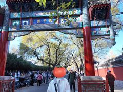 -北京国子监胡同