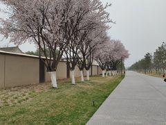 -汉长安城未央宫国家考古遗址公园