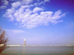 -上海吴淞炮台湾国家湿地公园